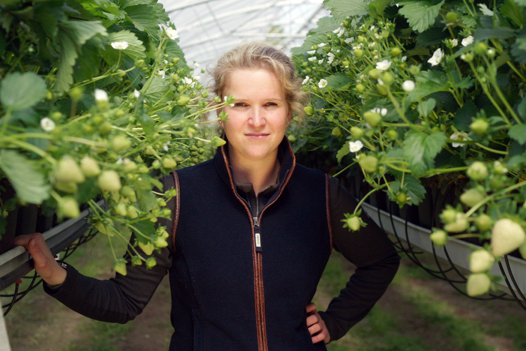 Agricultora de fresas junto a su cultivo