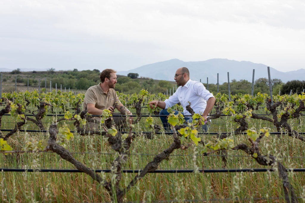 Mathieu Ramon-Baldie, de Domaine Jonquères d'Oriola, habla con nuestro Agrónomo