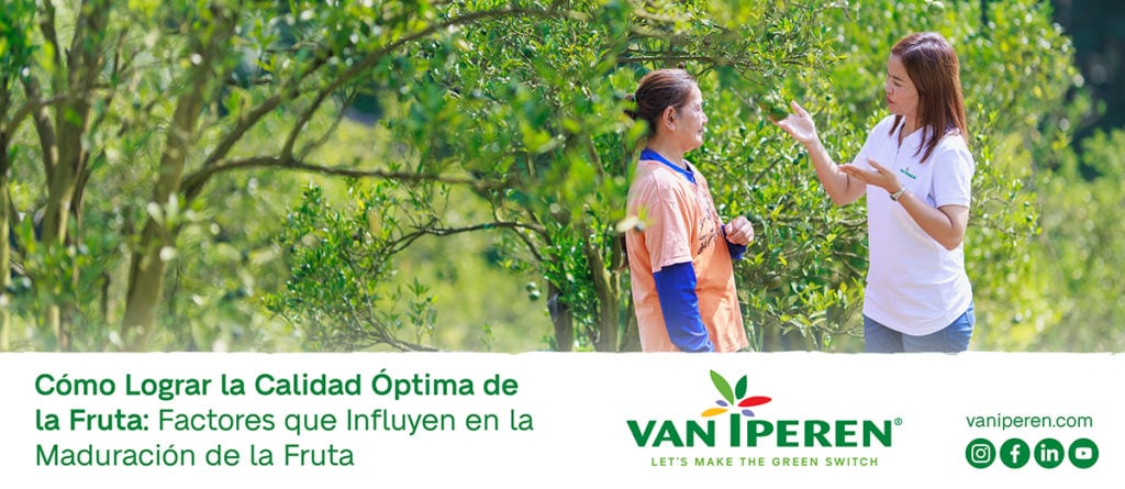 Equipo de Van Iperen charla con un agricultor de citricos acerca de WAKE-up Liquido y su efecto en la maduracion del fruto