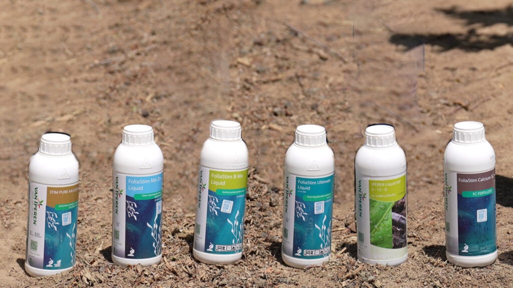 Diferentes soluciones forman parte de nuestras Soluciones de Algas: Stim Pure AA Liquid, FoliaStim Mn Zn, FoliaStim B Mo, FoliaStim Ultimate y FoliaStim Calcium SC.