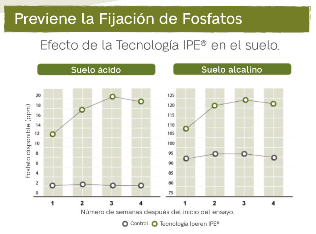 Grafico del ensayo de la Tecnologia IPE Previene la fijacion de fosfato