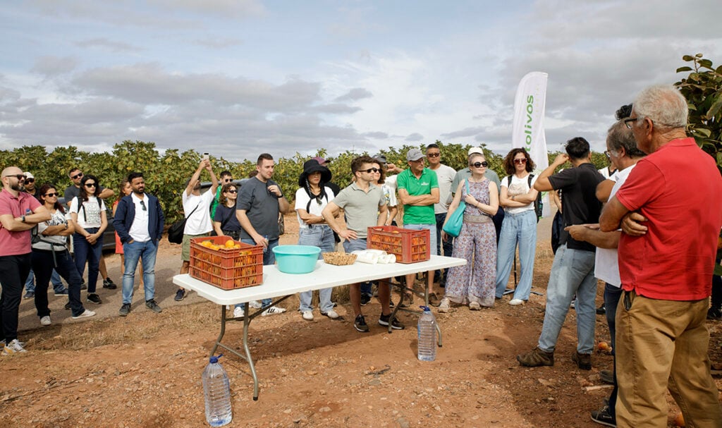 Excursion avec Fitolivos au Portugal