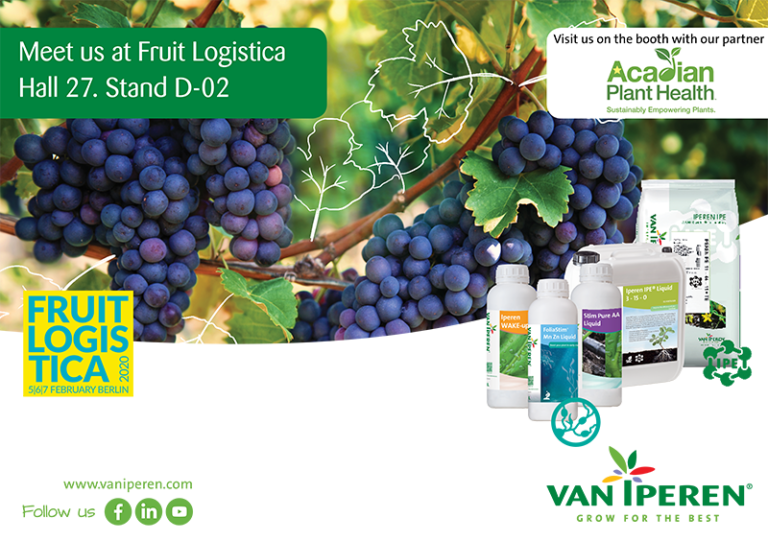 Meet Van Iperen International at Fruit Logistica on 5, 6, and 7 February 2020. Hall 27. Stand D-02.