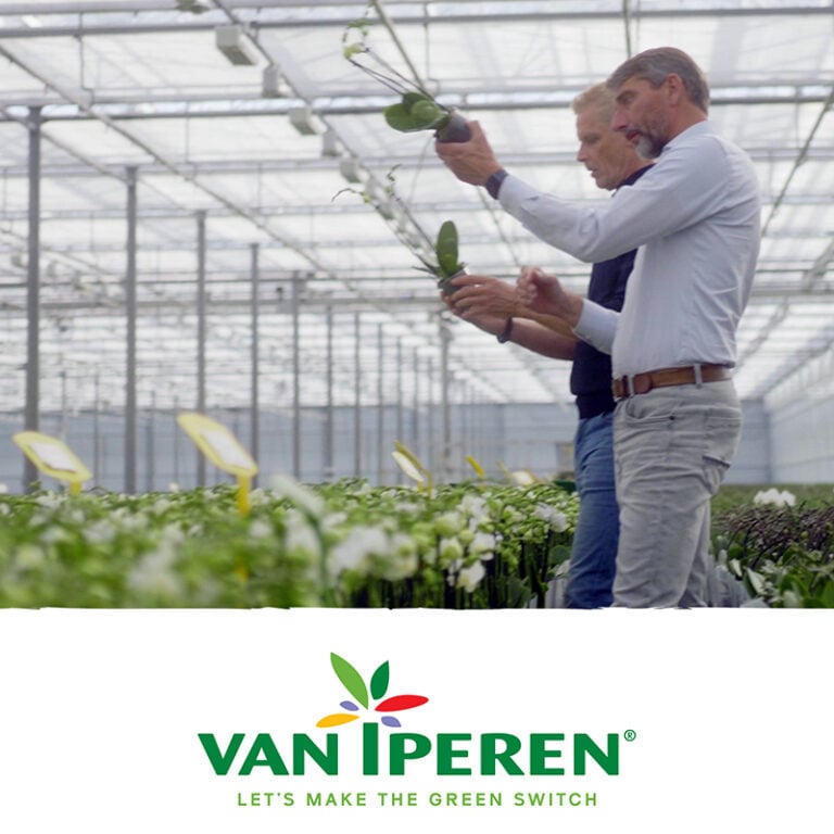 Featured image of GreenSwitch Ambassador OK Plant news article Featured image of GreenSwitch Ambassador OK Plant news article