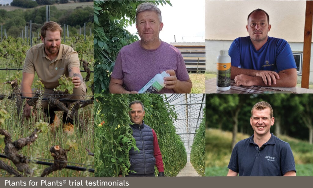 P4P growers testimonials